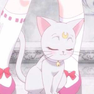 男女操逼小视频
